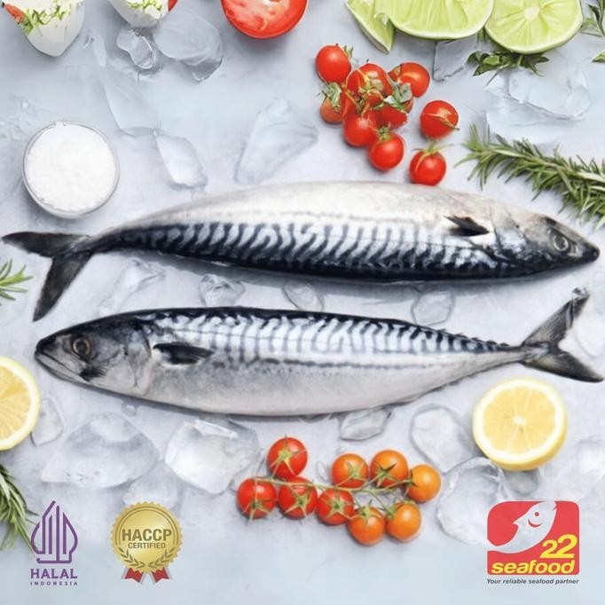 

Salem Laut / Ikan Mackerel / Frozen Pacific Mackerel / Seafood 22