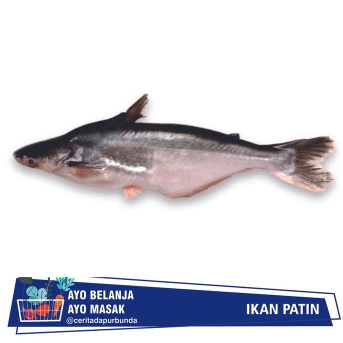 

IKAN PATIN SEGAR Per 500 gram