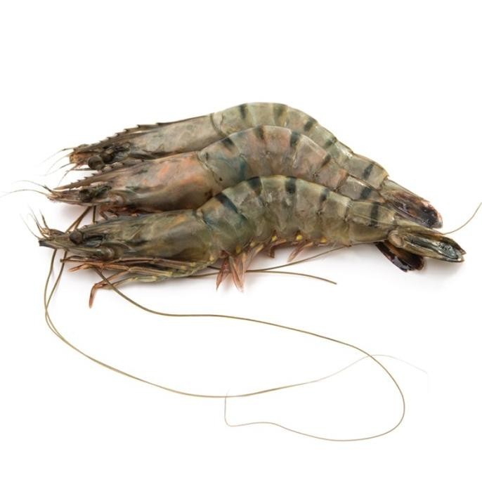 

Udang Vaname FRESH uk.Sedang - 500 gram [GROSIR]