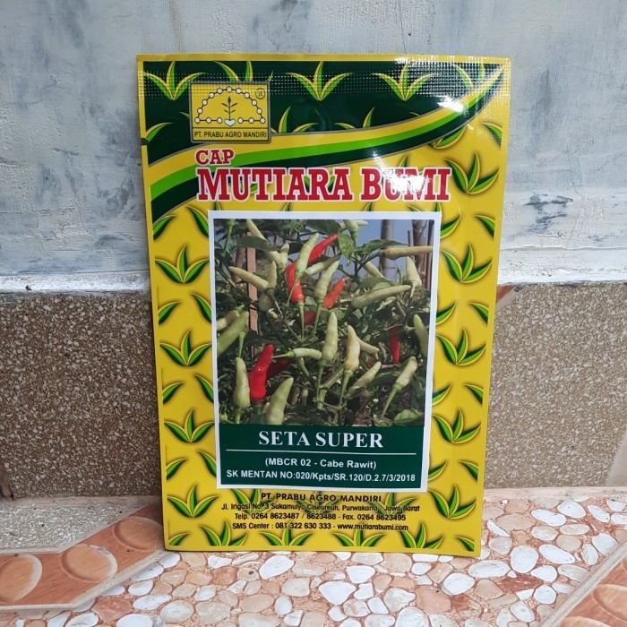 Benih Cabai Rawit Putih Seta Super Bibit Cabe Rawit Cap Mutiara Bum