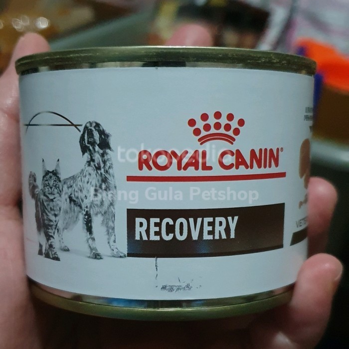 Royal Canin Recovery