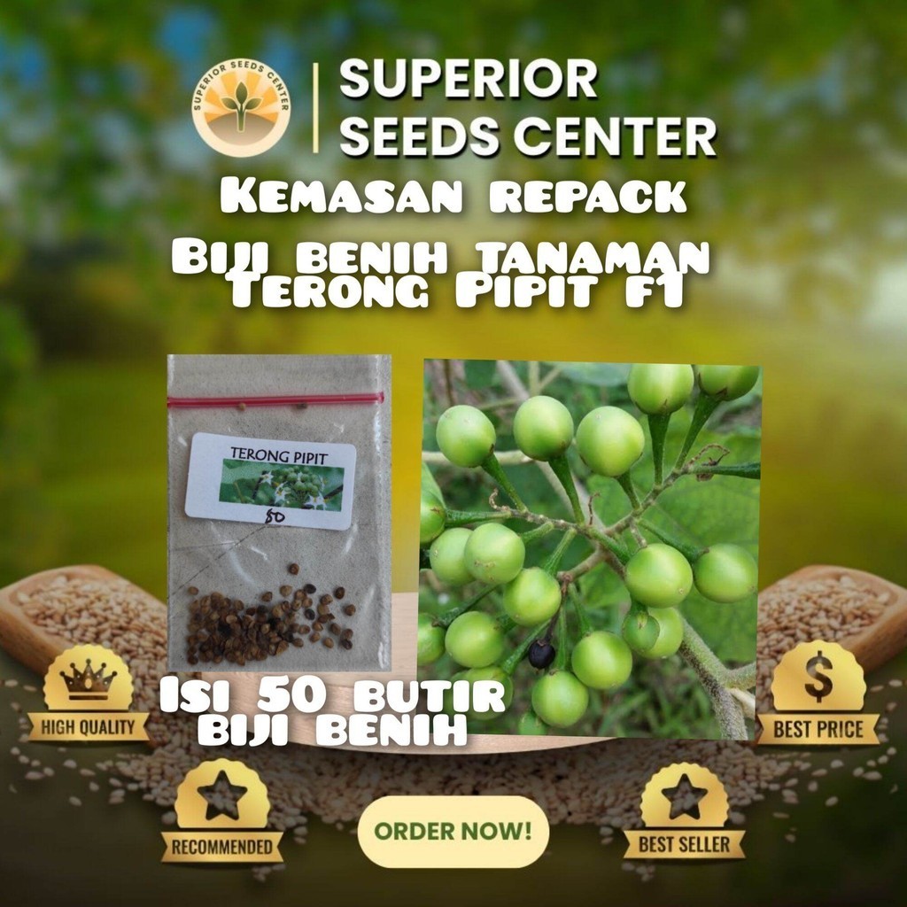 kemasan repack plastik klip 50 butir biji benih tanaman terong Pipit f1