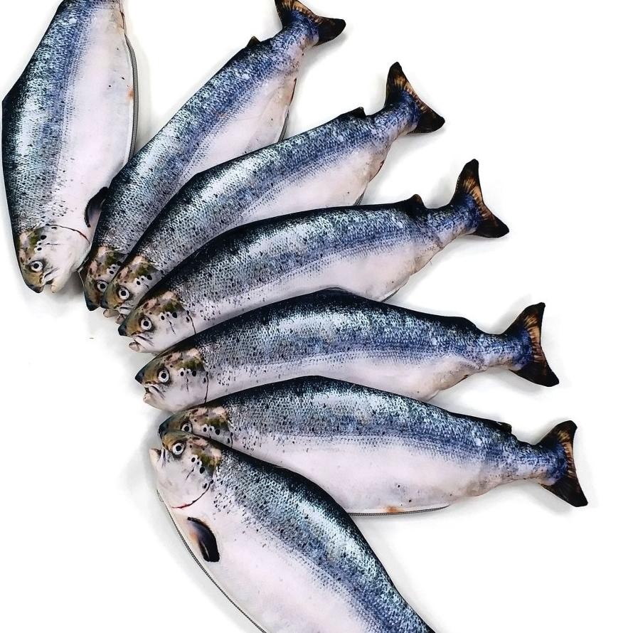 

PROMO Tempat Pensil Salmon untuk yang hobby mancing dan ikan bergizi an-139
