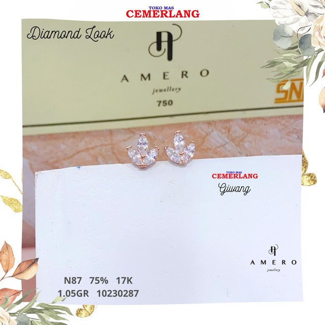 ANTING AMERO 750 17K 1.05 10230287