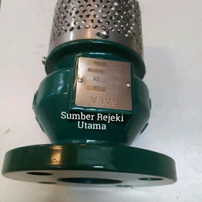 Foot Valve Cast Iron Gala Flange 10" Inch