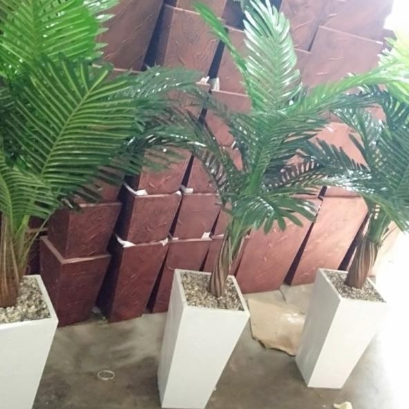 Pohon Bunga Hiasan Ruang Tamu Pojokkan Besar Palem Dekorasi Ruang Tamu