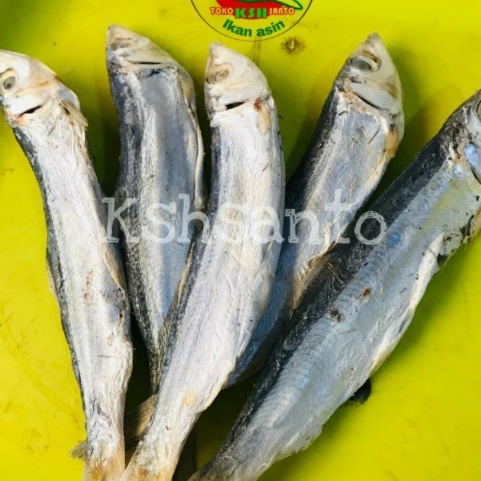 

Ikan Asin Japu Ketan Super-1Kg A9