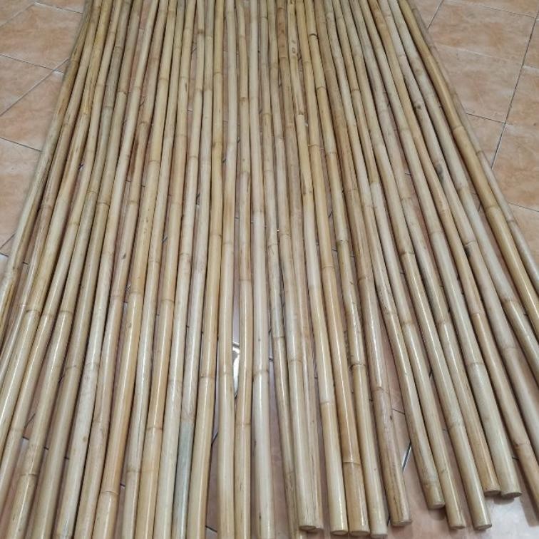 ready   Toya rotan asli toya beladiri toyak silat tongkat wushu Model Baru TERLARIS