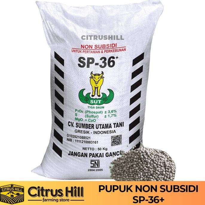 Pupuk Pertanian SP36+ - 50kg