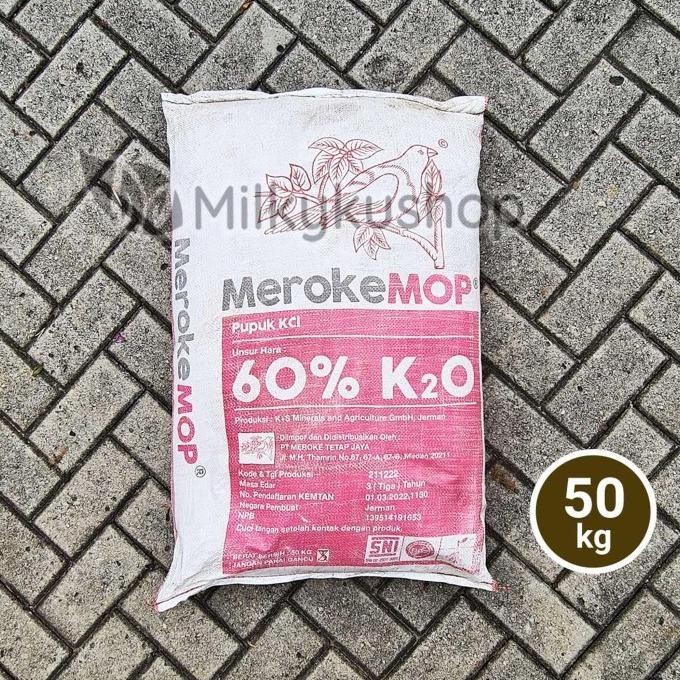 PUPUK MEROKE MOP KCL 50 KG KEMASAN PABRIK VIA GOSEND GRAB