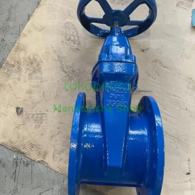 Gate Valve Resilent 12 Inch Inchi Pn 16