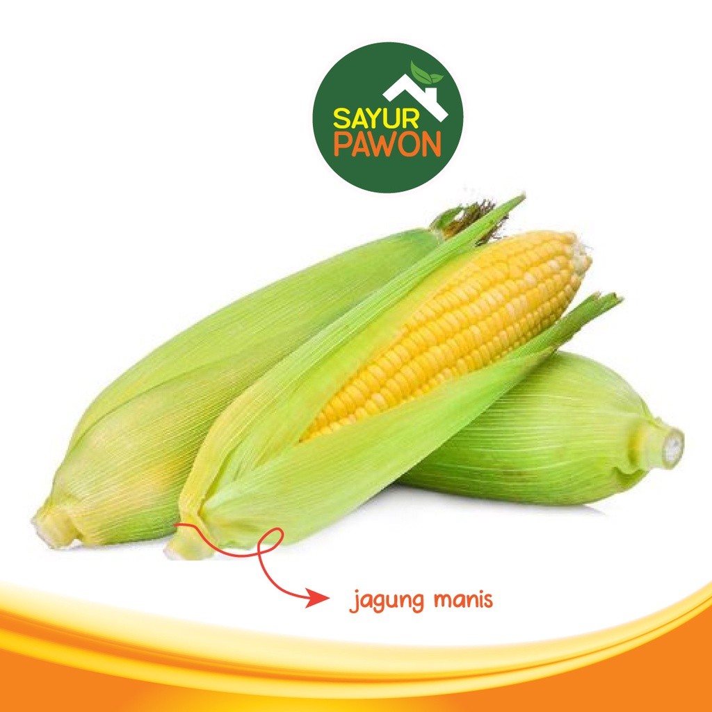 

JAGUNG MANIS SEGAR 1 kg