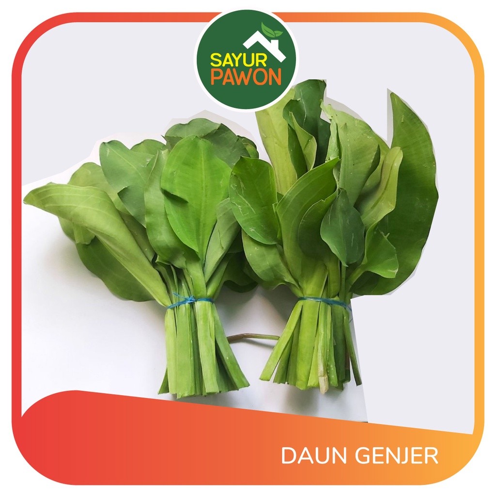 

Daun Genjer per ikat - Sayur Pawon Jogja