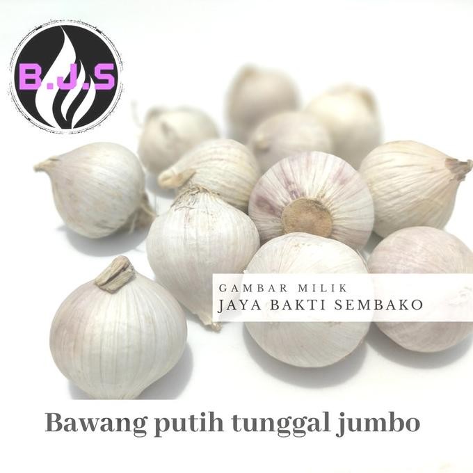 

Bawang Putih Tunggal/Lanang Jumbo 250 Gram