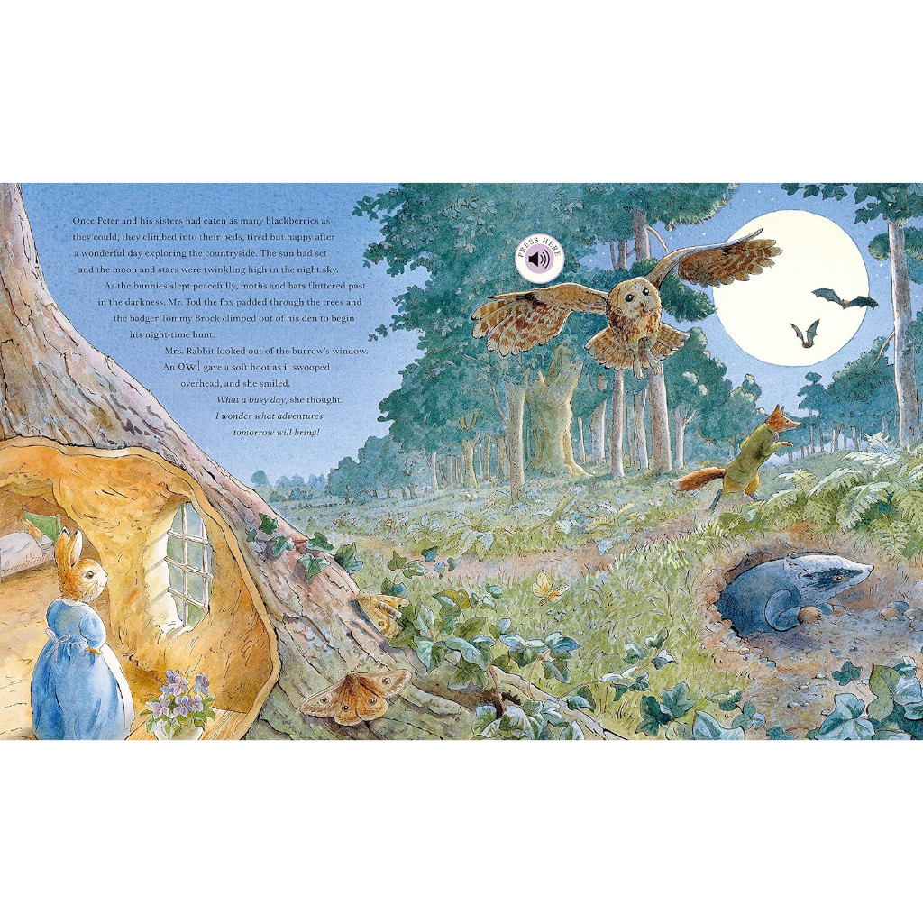 Peter Rabbit: Peter's Nature Walk Sound Book