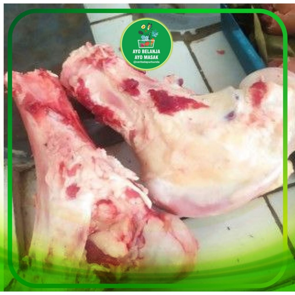 

Tulang Skengkel/Sumsum Sapi per pcs
