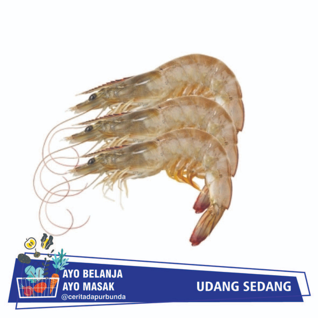 

UDANG SEDANG SEGAR Per 250 gram