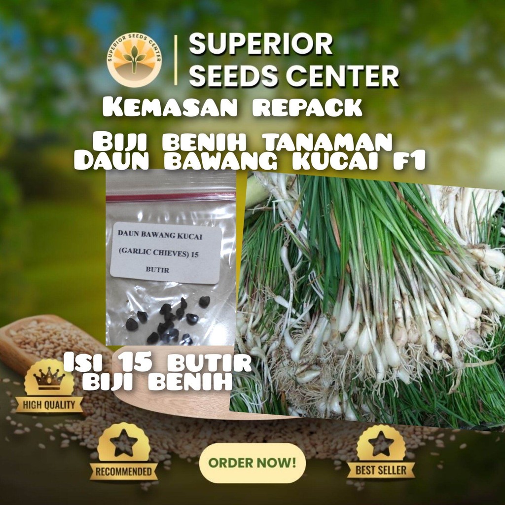 15 butir biji benih tanaman bawang kucai f1 (kemasan repack plastik klip)