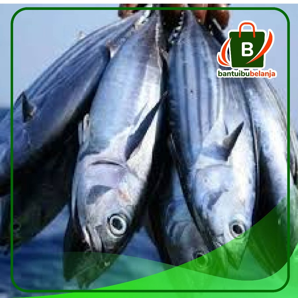 

IKAN CAKALANG per 500 gr