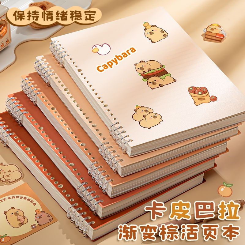 

Buku Catatan Loose-LeafB5Notebook Spiral Longgar Koil