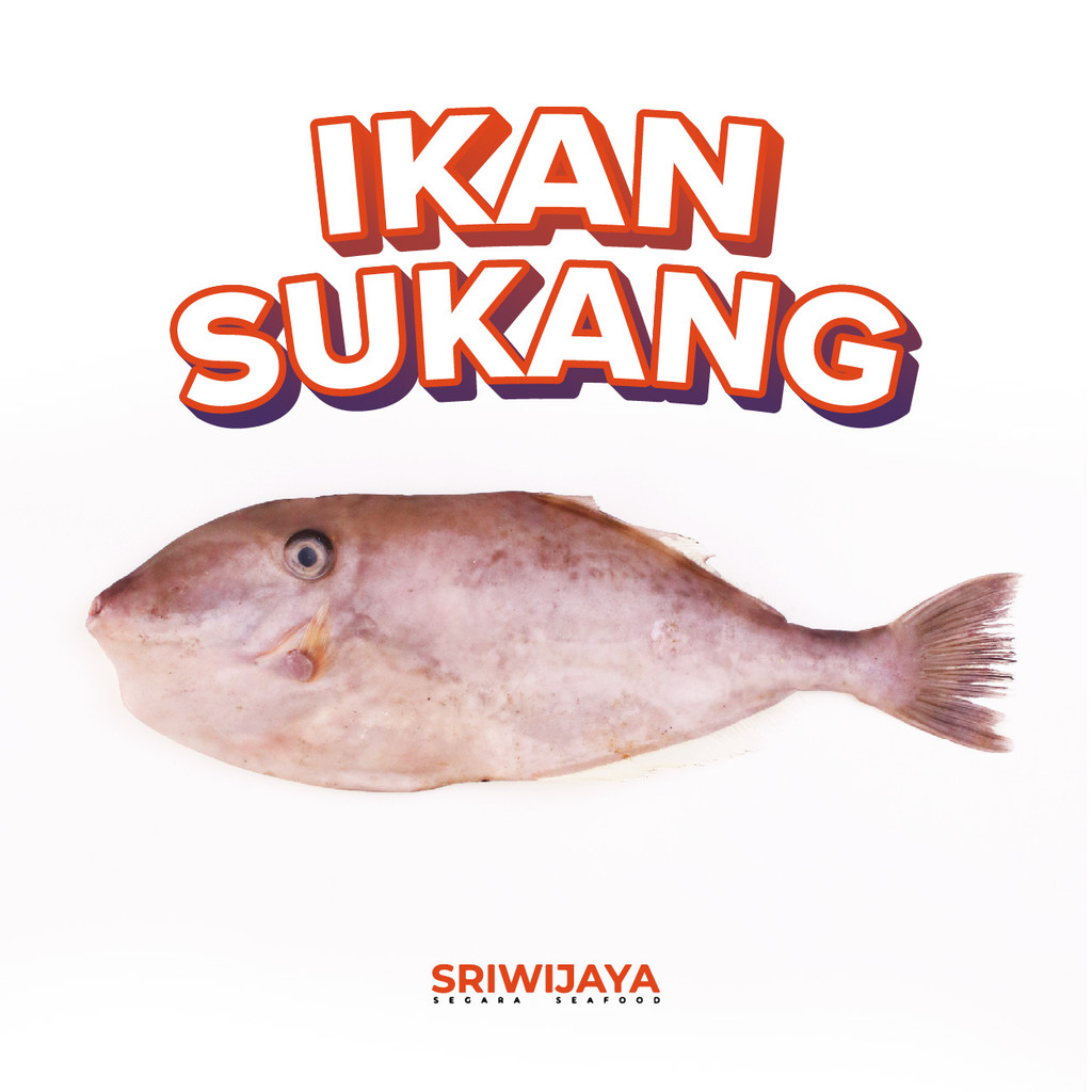 

Ikan SUKANG