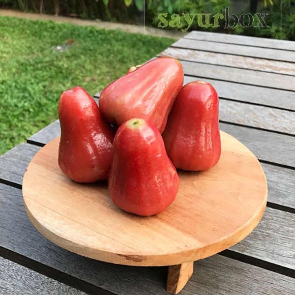 

Jambu Air Citra Konvensional 500 gram Sayurbox