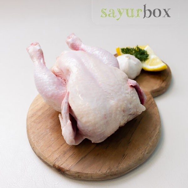 

Ayam Utuh 950 gram Sayurbox