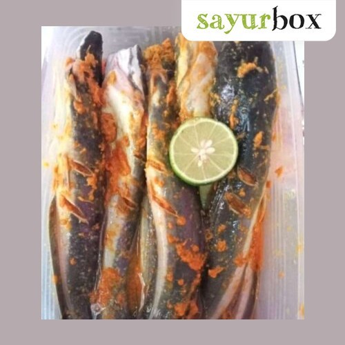 

Banda Lele Fillet Bumbu Kuning 500 gram Sayurbox