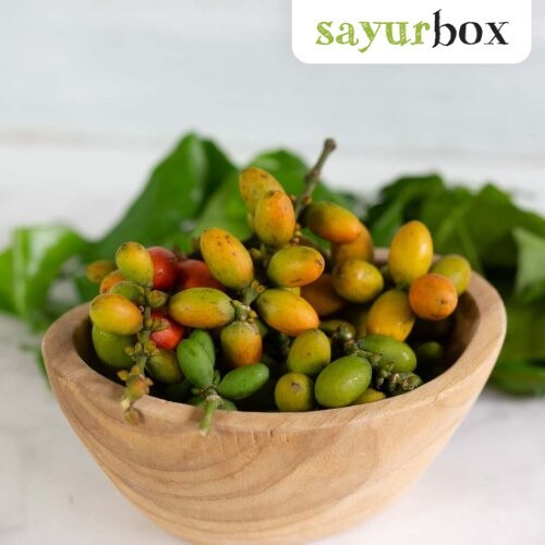 

Biji Melinjo Konvensional 100 gram Sayurbox