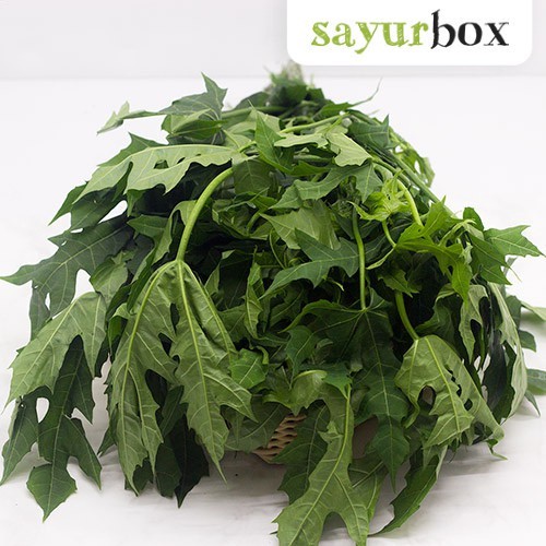 

Daun Pepaya Jepang Konvensional 1 kg Sayurbox