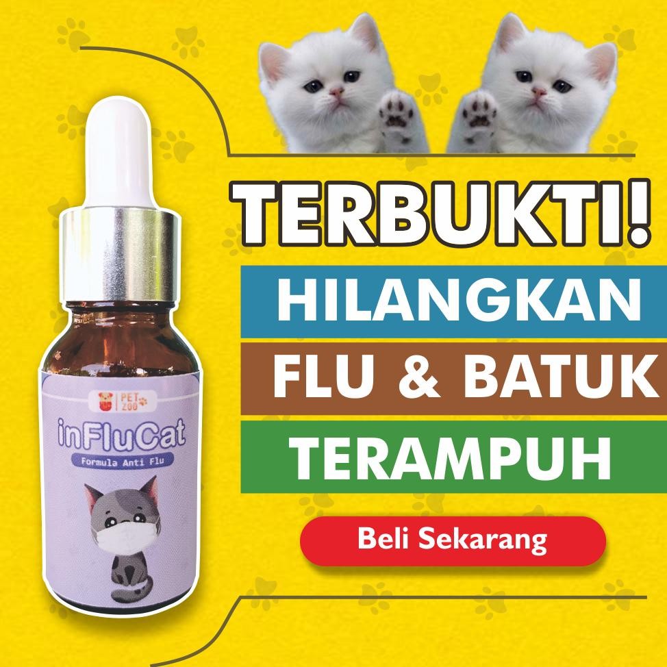 Berkualitas Obat Flu Kucing Paling Ampuh Apotik Parah Terbaik D2 Obat Pilek Kucing Bersin Dan Ingusa
