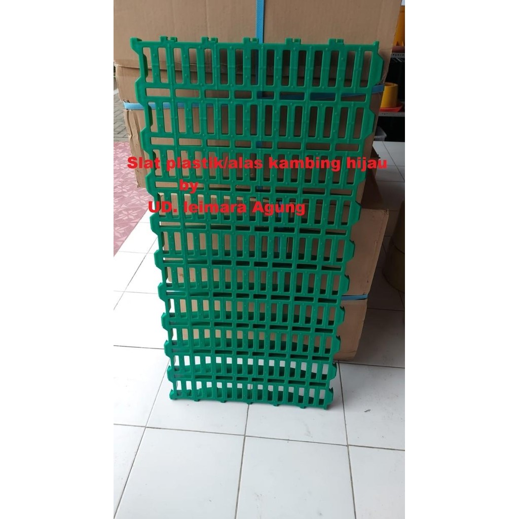 Alas Kandang Kambing/Domba Plastik Hijau