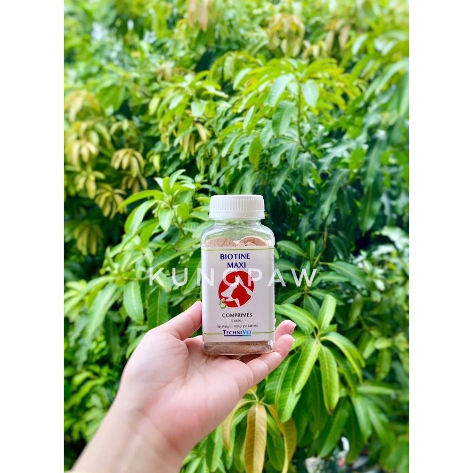Vitamin Bulu Anjing Kucing Biotine Maxi 30 Tablet