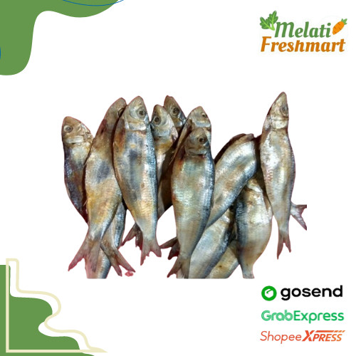 

Ikan Asin Tembang 250 gr - Melati Freshmart