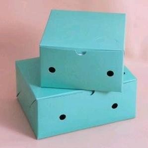 

TERLARIS Dus Snack Kotak Kue Makanan Kecil Warna 16x12x7 ( 100 pcs ) Iv-138