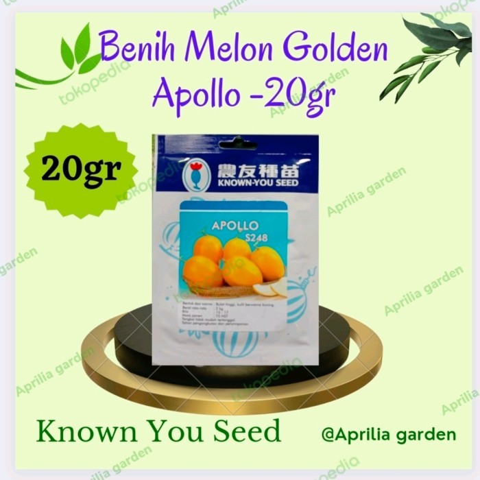 MELON GOLDEN APOLLO S248 KNOWN YOU SEED