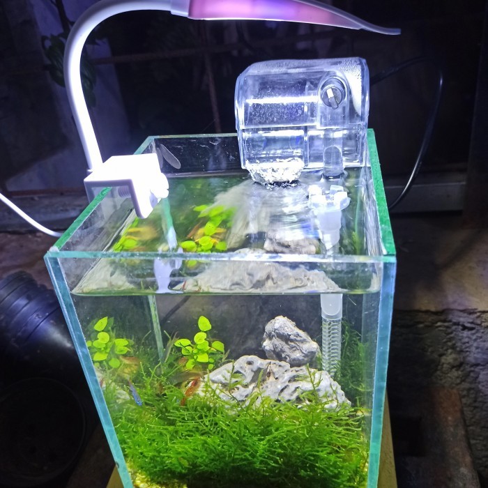 Terlaris Aquarium Aquascape Full Set Mini Hiasan Ruang Tamu Hiasan Kamar Tidur