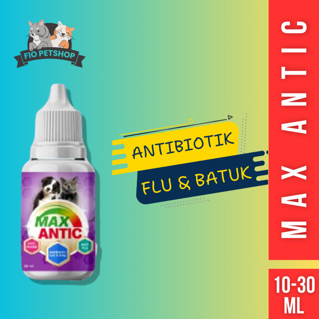 MAX ANTIC Antibiotik Ampuh Atasi Diare & Flu pada Kucing dan Anjing