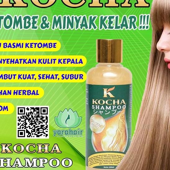 Shampo Anti Ketombe Terbaik Atasi Ketombe Dan Rambut Rontok Membandel