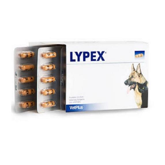 Diskon Lypex Vetplus - Enzim Anti Diare & Pencernaan Untuk Kucing Dan Anjing