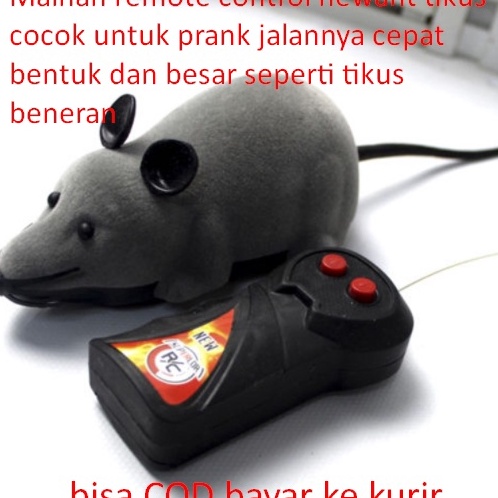 Kirim Langsung 0wJ Mainan remote control hewant tikus cocok untuk prank jalannya cepat bentuk dan be