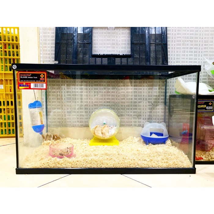 PAKET KANDANG HAMSTER RUMAH HAMSTER BESAR HAMSTER SYRIAN WINTER WHITE