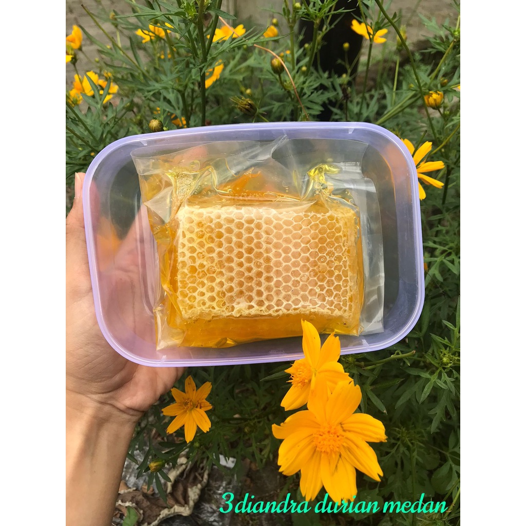 

sarang madu 250 gram