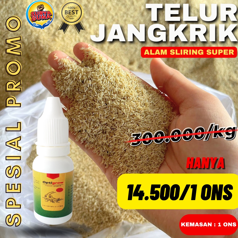 ➳ Penjual Telur Jangkrik Alam Kualitas Unggul 4471