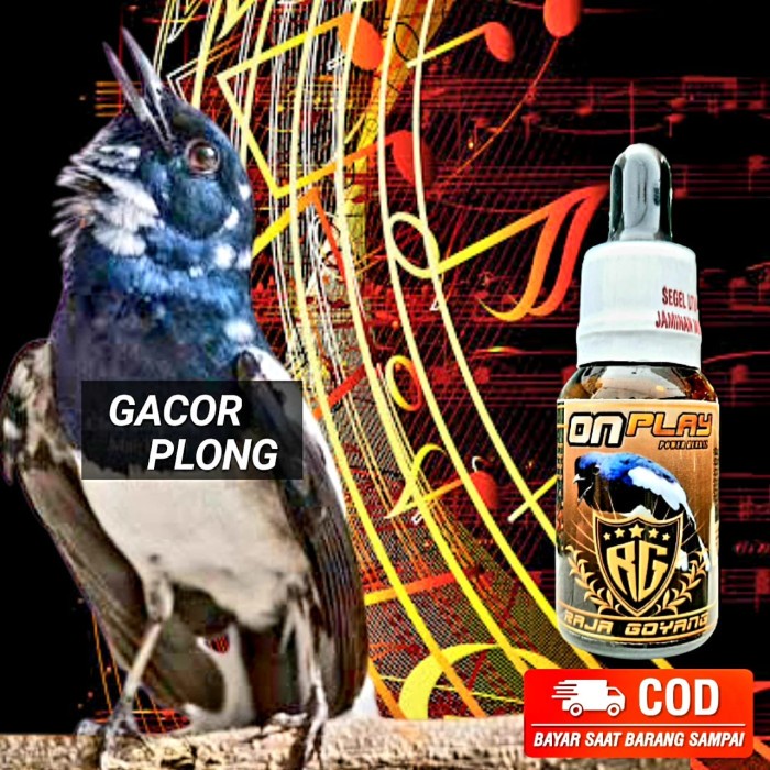 RG ON PLAY KACER vitamin probiotik khusus burung kacer untuk lomba h-1