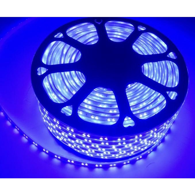 Lampu Led Strip Selang 5730 2 Mata 2 Baris Double 220V 1 Roll