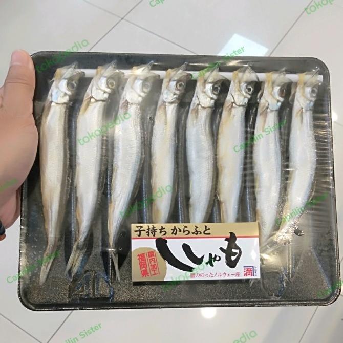 

Ready oke] Komochi Shishamo L 170 - 190 gr ( ikan telur capelin jepang isi 8 )