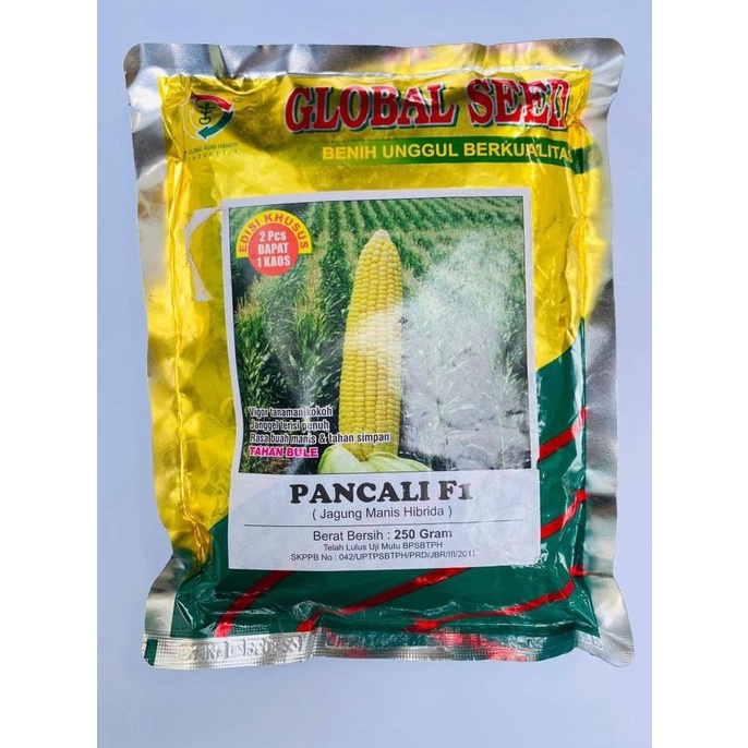 Benih Jagung Manis Hibrida PANCALI F1 250gr Tahan Bulai Global Seed
