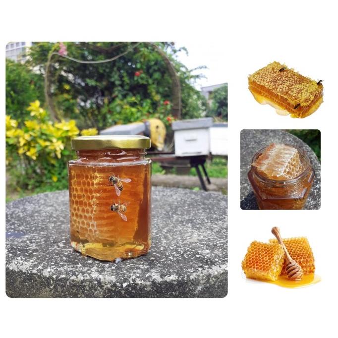 

Kualitas terbaik] Honey Comb / Madu Sarang / Pure Honey 100gr