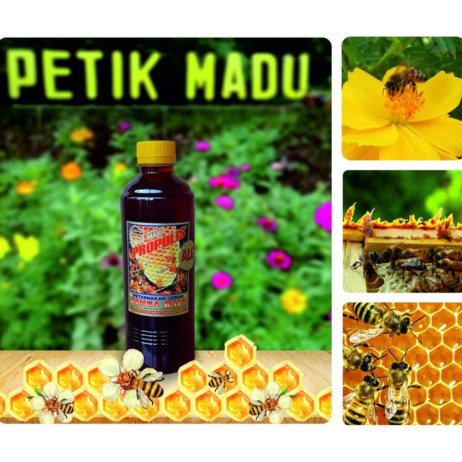 }}}}}}] Madu Propolis Alergi 500 ml kemasan botol plastik